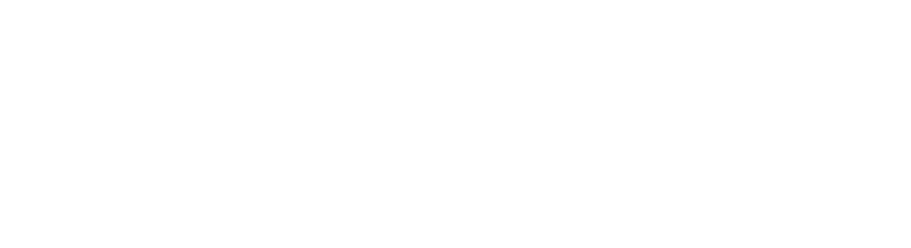 Webninja Logo
